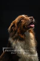 Roland ADOLPHE - Photographie d'un clic